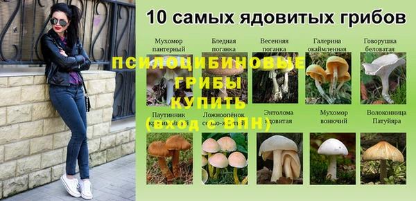 ALPHA-PVP Майский