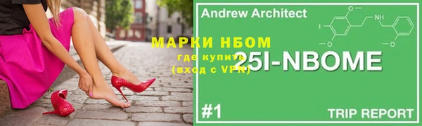гашик Медногорск