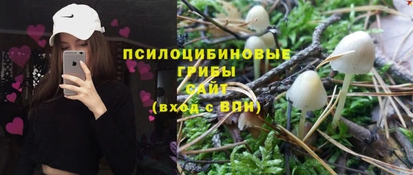крисы Медвежьегорск