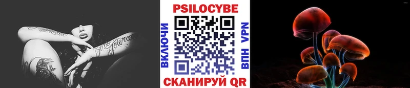Псилоцибиновые грибы Cubensis  ссылка на мегу ссылки  Электроугли 