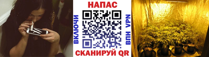 даркнет сайт  Электроугли  Шишки марихуана MAZAR 